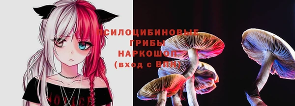 apvp Алексин