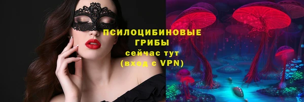 бутират Нязепетровск