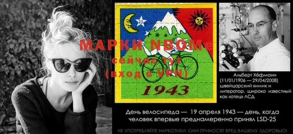 apvp Алексин