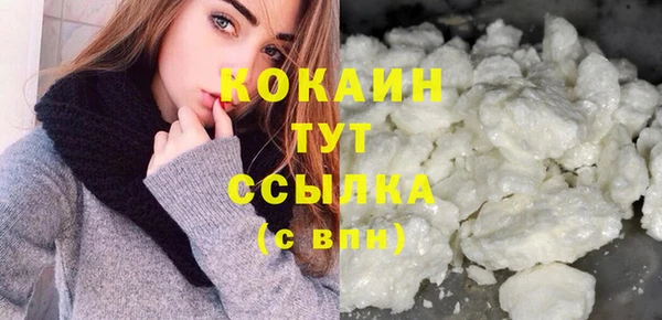 apvp Няндома