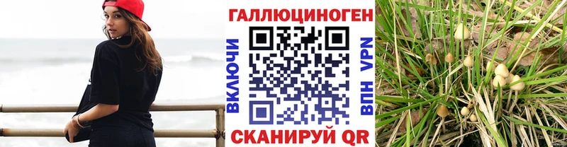 Галлюциногенные грибы Magic Shrooms  Спасск 